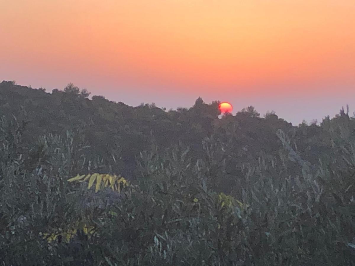 Вілла Above The Sea Ein Hod Екстер'єр фото