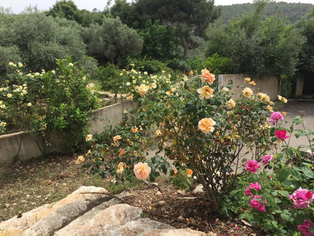 Вілла Above The Sea Ein Hod Екстер'єр фото