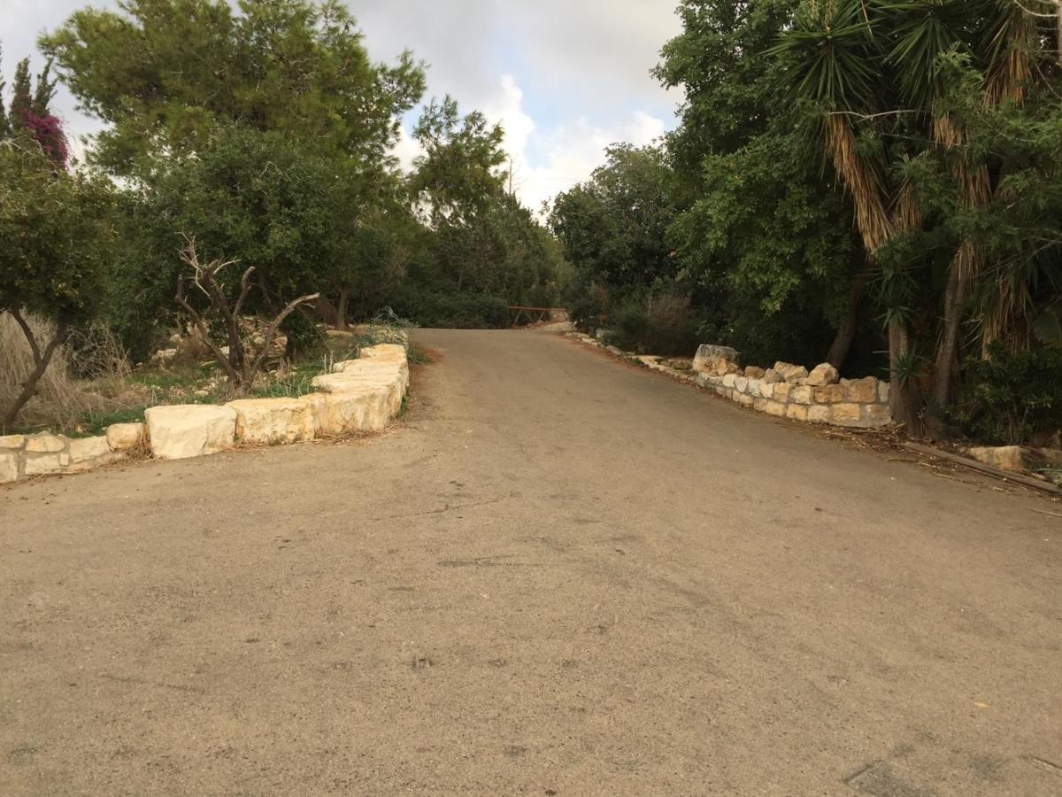 Вілла Above The Sea Ein Hod Екстер'єр фото