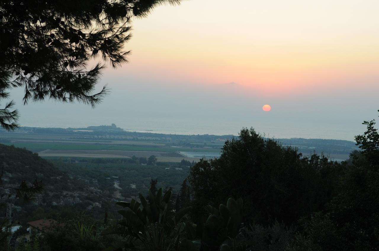 Вілла Above The Sea Ein Hod Екстер'єр фото
