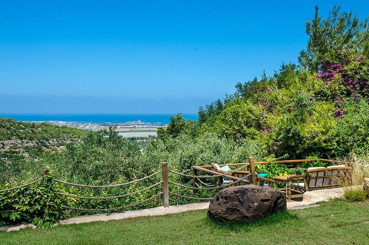 Вілла Above The Sea Ein Hod Екстер'єр фото