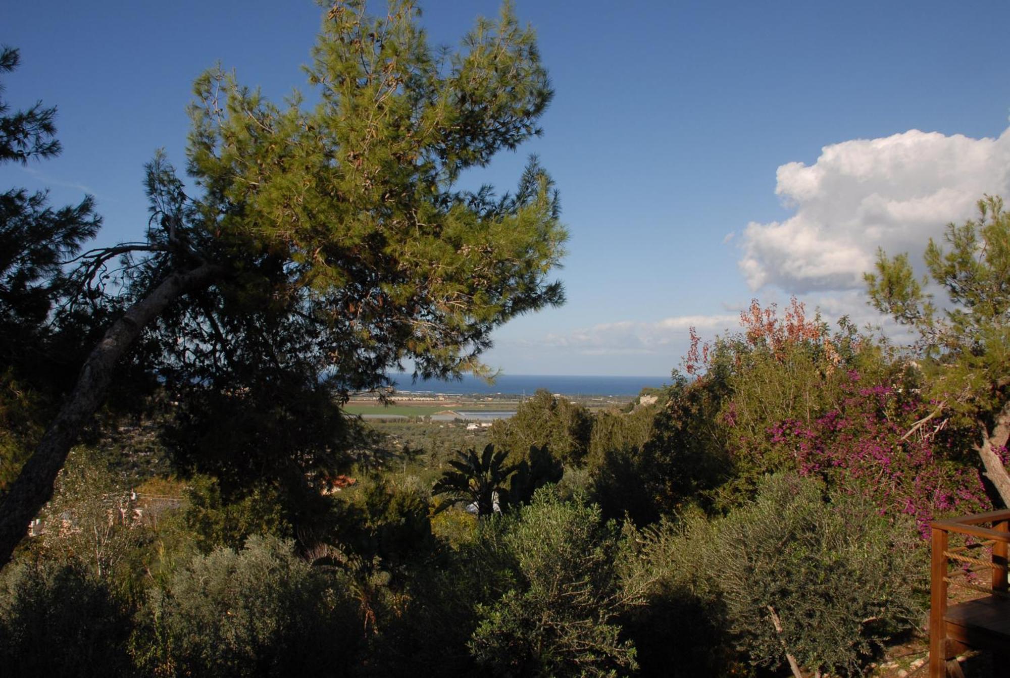 Вілла Above The Sea Ein Hod Екстер'єр фото