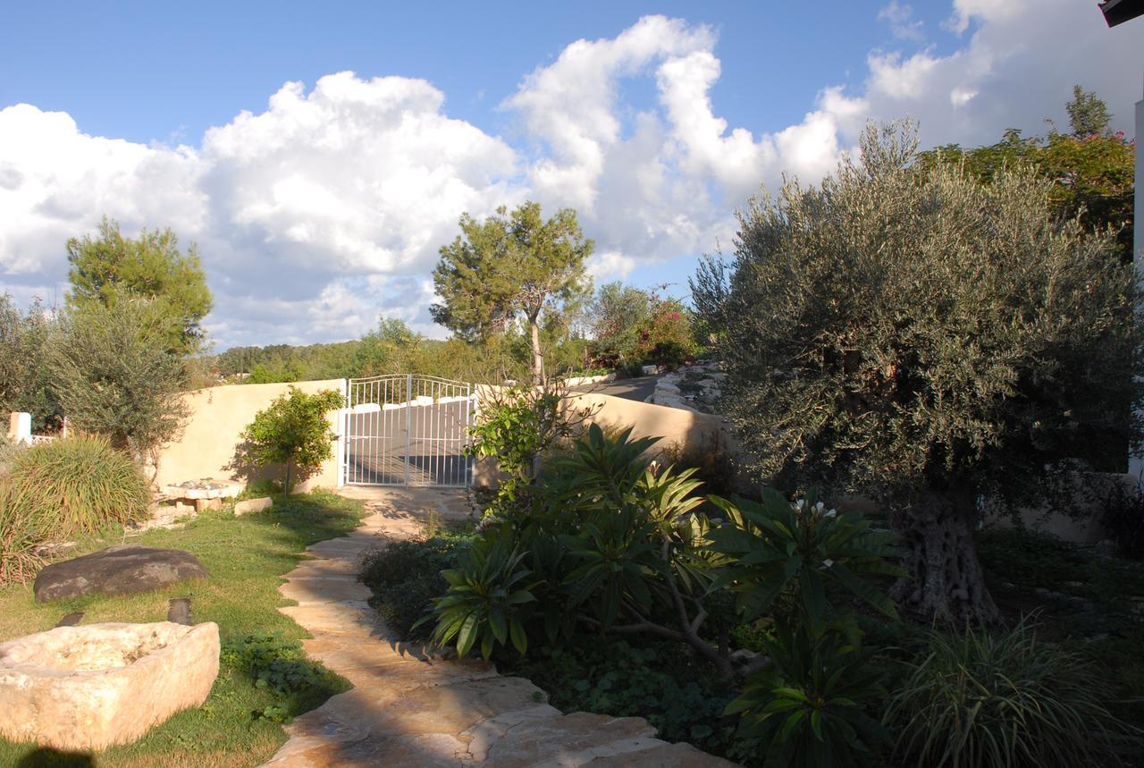 Вілла Above The Sea Ein Hod Екстер'єр фото