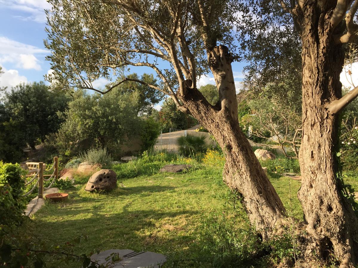 Вілла Above The Sea Ein Hod Екстер'єр фото